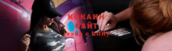 молекула духа Богородск
