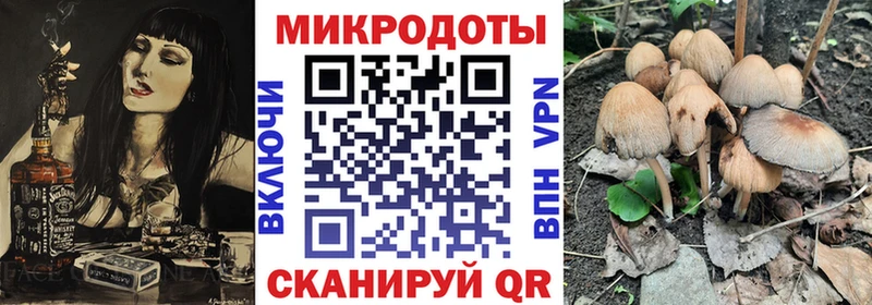 Галлюциногенные грибы Psilocybine cubensis  Купить  Надым 